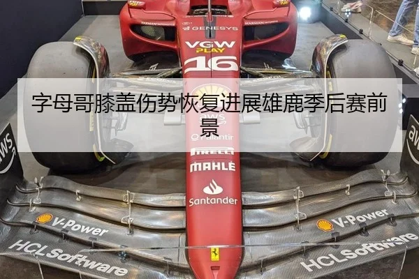 字母哥膝盖伤势恢复进展雄鹿季后赛前景