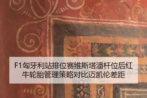F1匈牙利站排位赛维斯塔潘杆位后红牛轮胎管理策略对比迈凯伦差距
